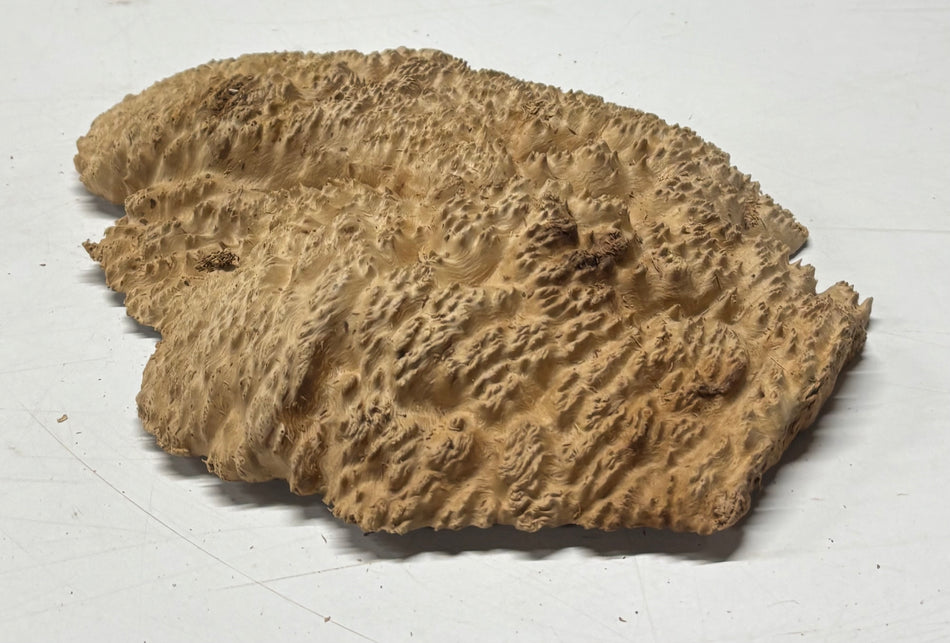 Brown Mallee Burl Blank 9" x 7" x 1" 1.7 Lbs #6192