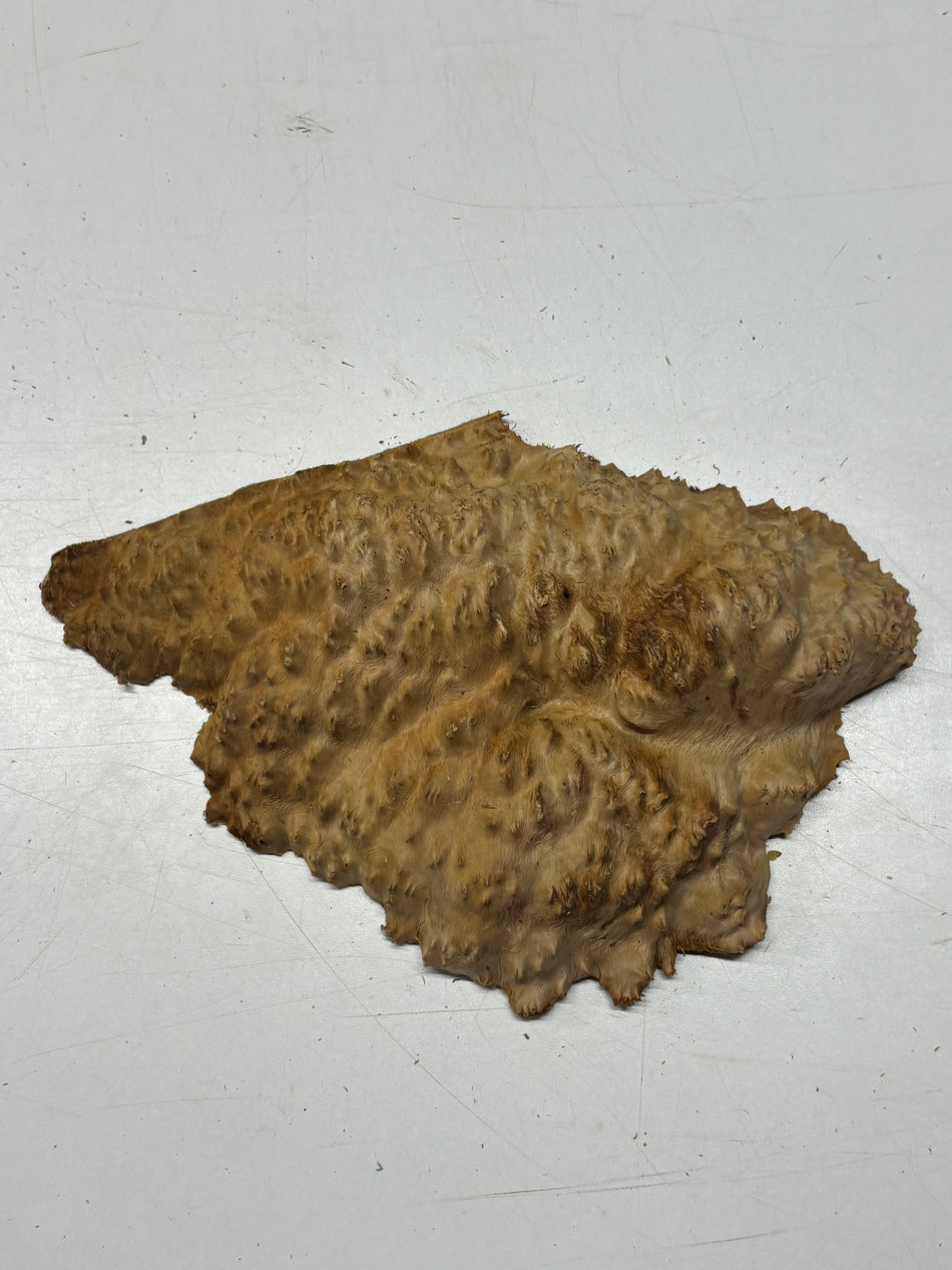 Brown Mallee Burl Blank 11" x 6.5" x 3" 1.8 Lbs #6193