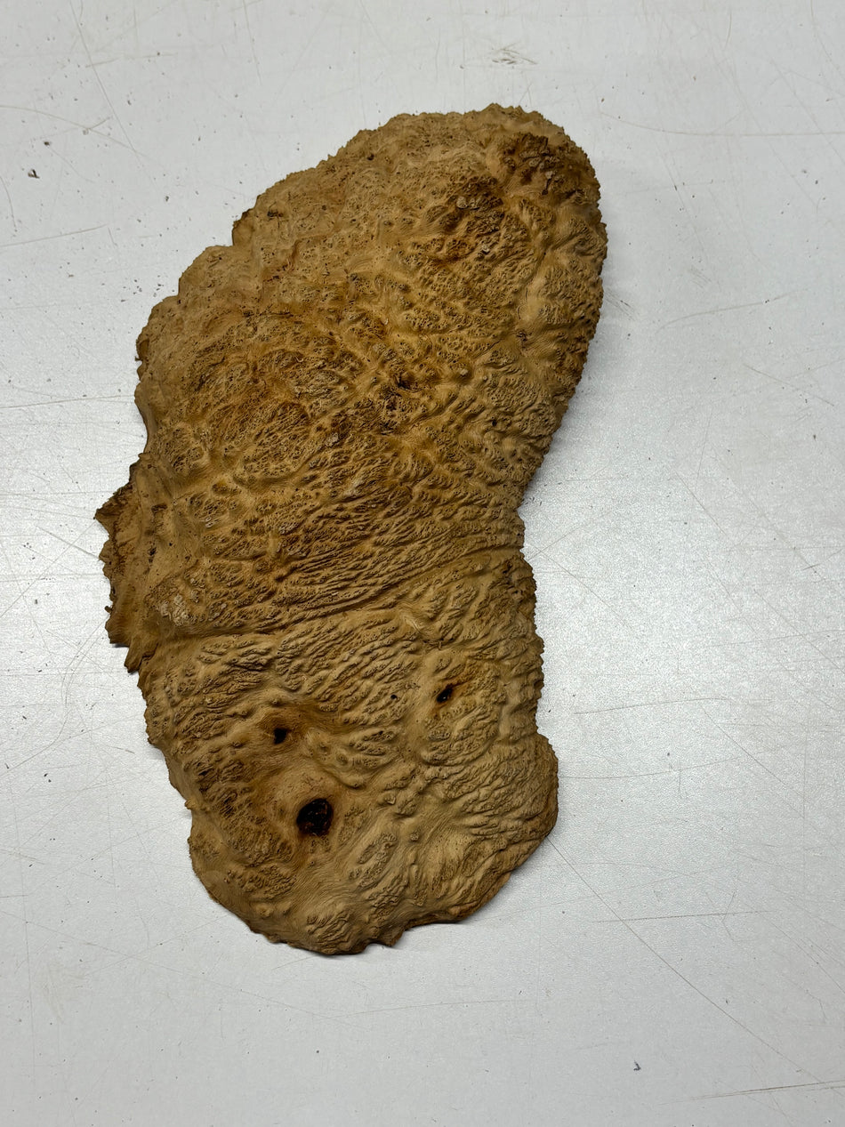 Brown Mallee Burl Blank 10.5" x 5" x 2" 2.5 Lbs #6195