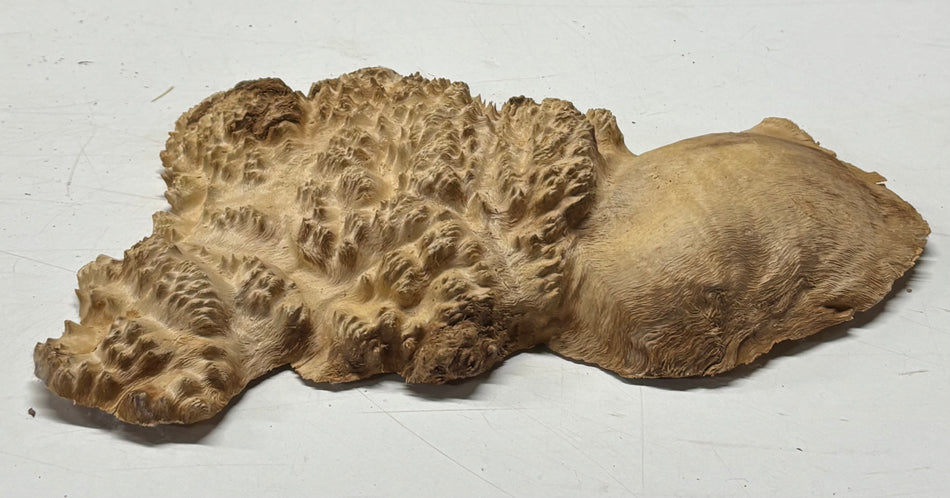 Brown Mallee Burl Blank 12" x 6" x 1.5" 2.1 Lbs #6197