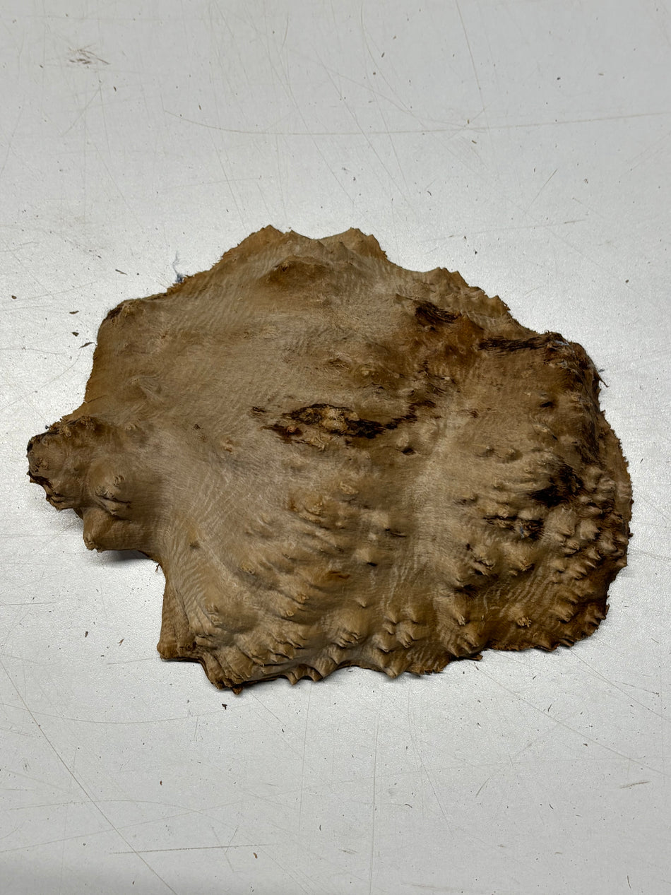 Brown Mallee Burl Blank 7.5" x 6" x 1.5" 1.8 Lbs #6203