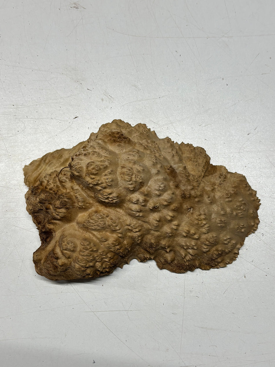 Brown Mallee Burl Blank 7" x 4" x 1.5" 1.7 Lbs #6204
