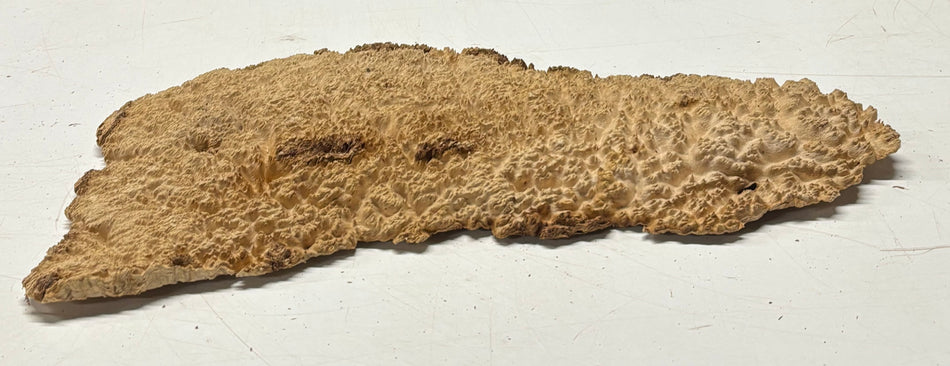Brown Mallee Burl Blank 16" x 7" x 1" 2.2 Lbs #6213