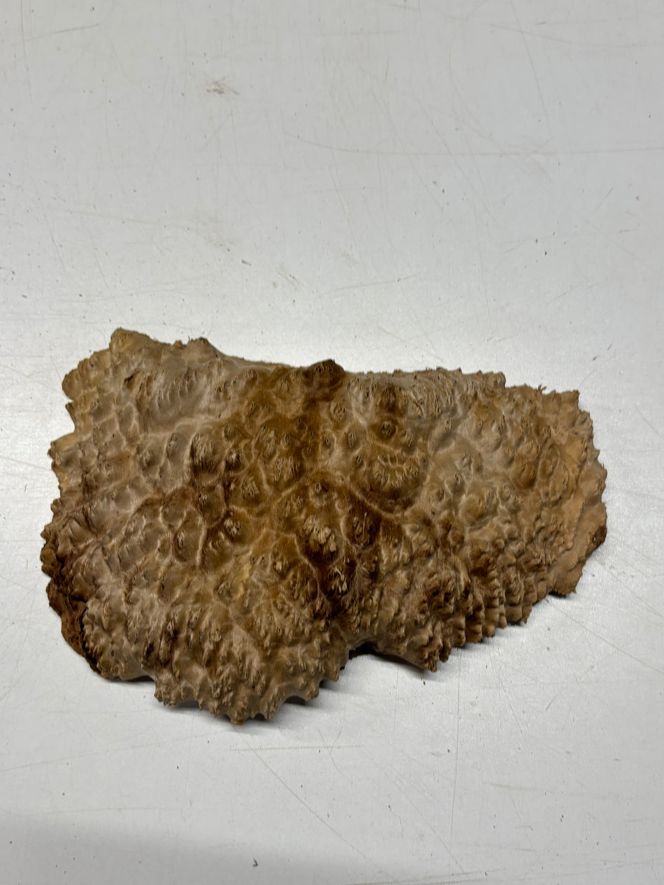 Brown Mallee Burl Blank 9" x 5" x 1.5" 1.9 Lbs #6218