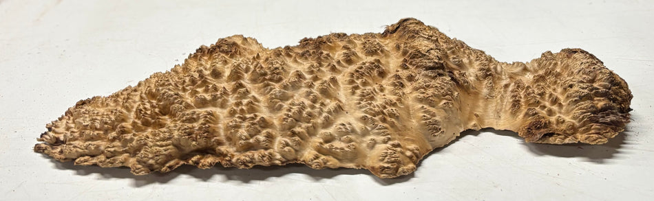 Brown Mallee Burl Blank 18" x 5.5" x 2" 4.1 Lbs #6223