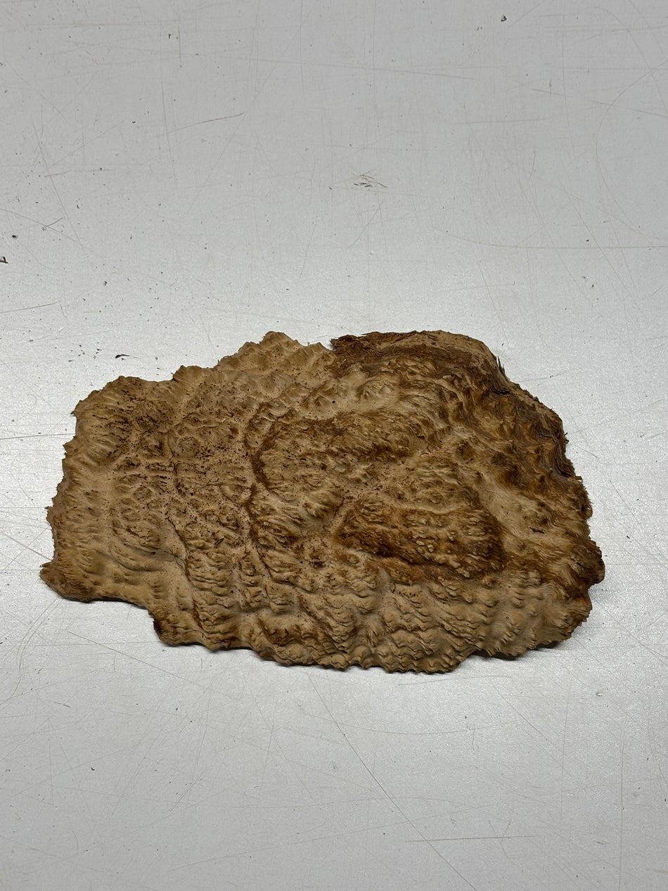 Brown Mallee Burl Blank 9" x 5" x 1.5" 1.8 Lbs #6224