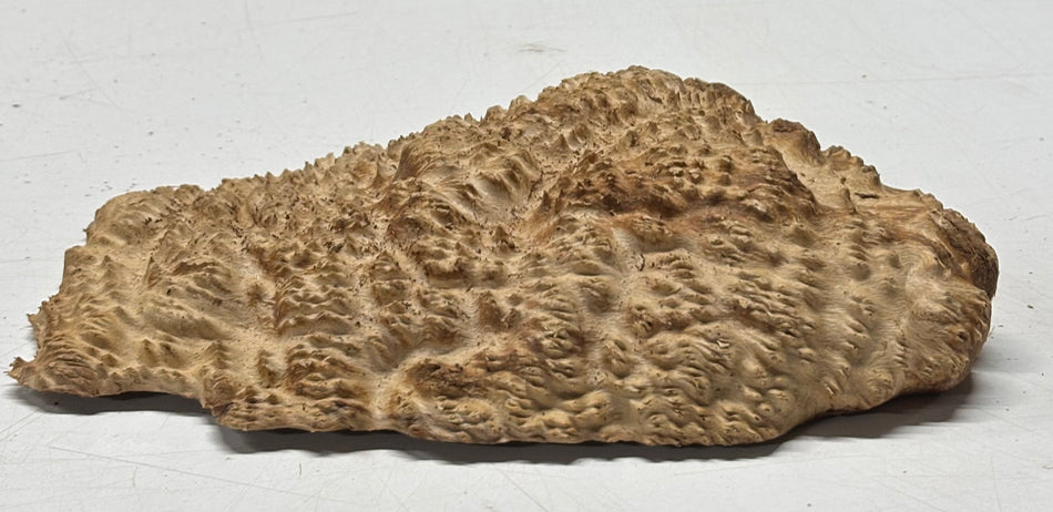 Brown Mallee Burl Blank 9" x 5" x 1.5" 1.8 Lbs #6224