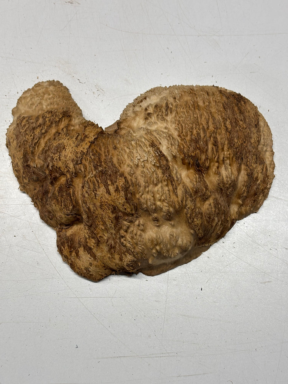 Brown Mallee Burl Blank 9" x 6" x 2" 3.3 Lbs #6226