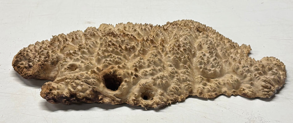 Brown Mallee Burl Blank 10" x 5" x 1" 2.3 Lbs #6229