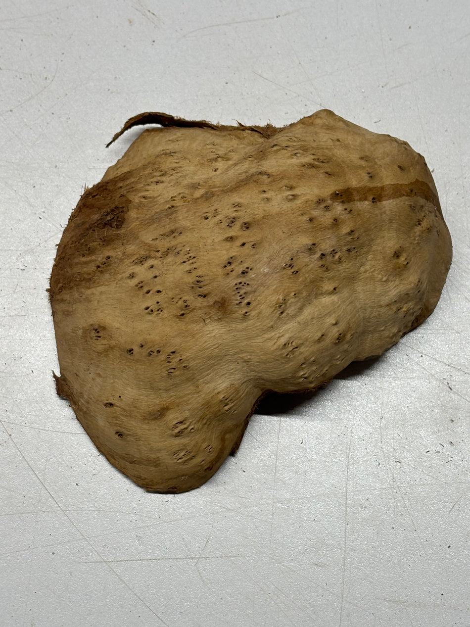 Brown Mallee Burl Blank 5" x 4" x 2" 1.1 Lbs #6231