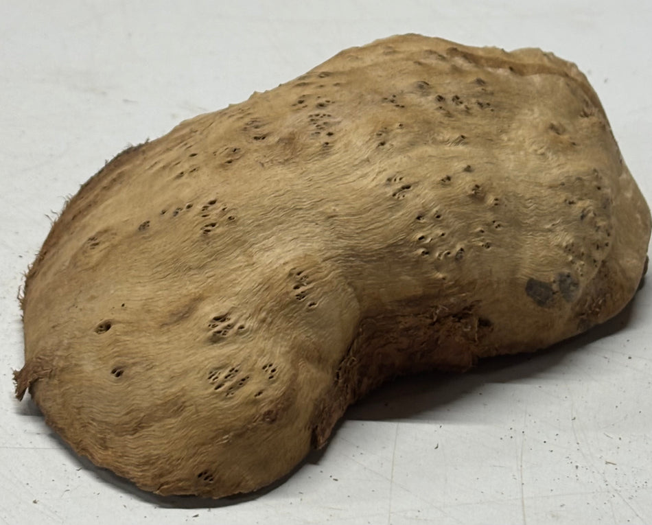 Brown Mallee Burl Blank 5" x 4" x 2" 1.1 Lbs #6231