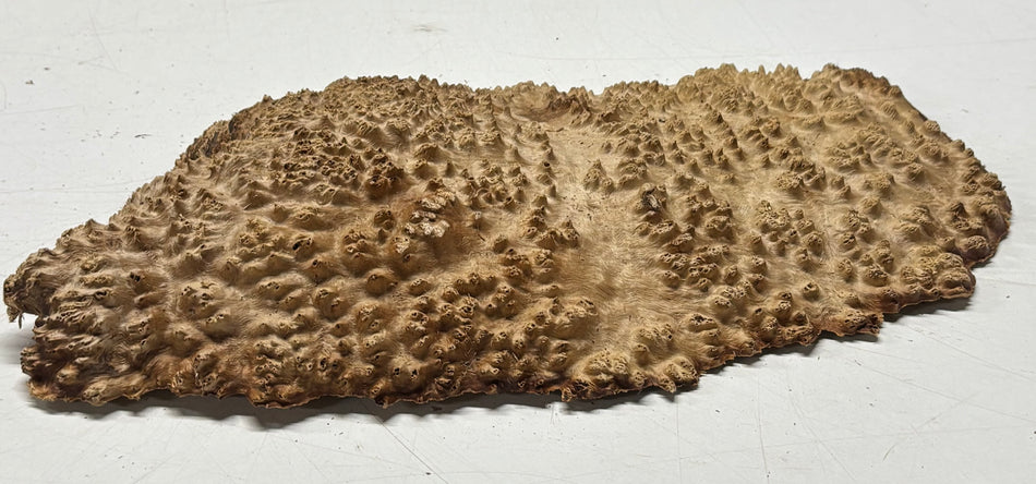Brown Mallee Burl Blank 12" x 6.5" x 1.5" 2.8 Lbs #6235