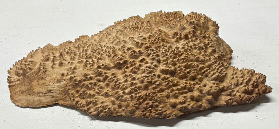 Brown Mallee Burl Blank 12" x 7" x 1.5" 4.9 Lbs #6237