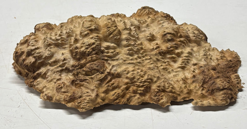 Brown Mallee Burl Blank 8" x 6" x 1.5" 1.9 Lbs #6240