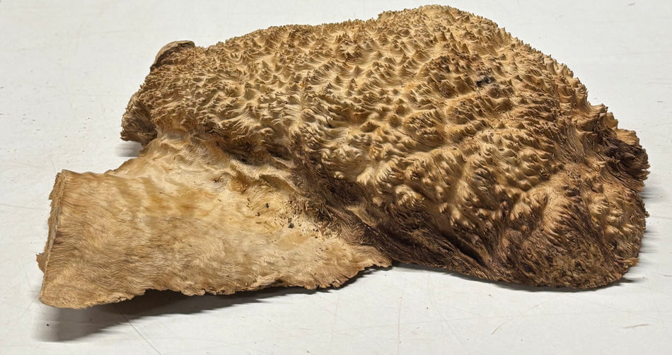 Brown Mallee Burl Blank 10" x 6" x 2" 3.9 Lbs #6244