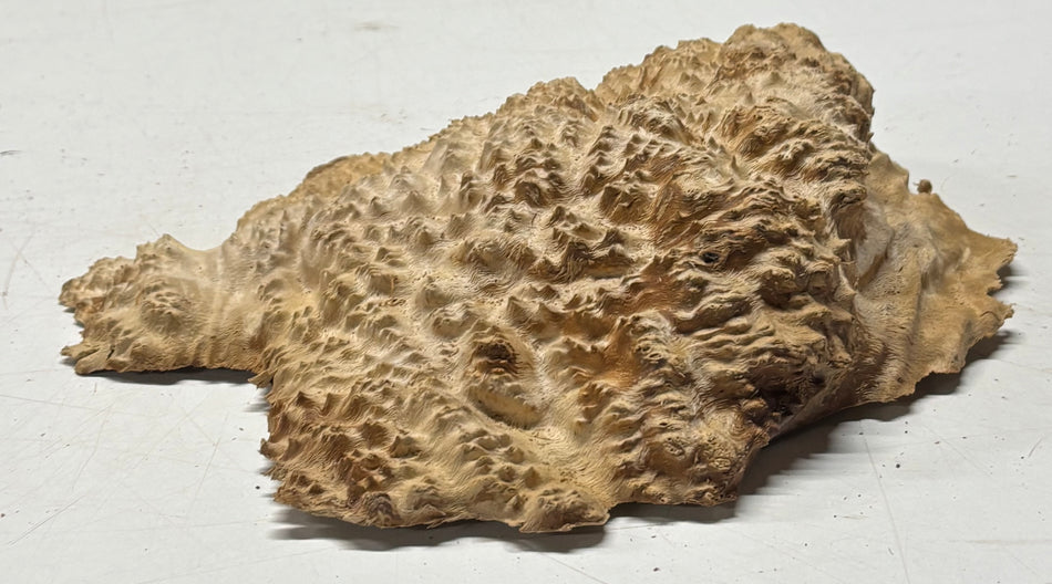 Brown Mallee Burl Blank 7.5" x 6" x 1.5" 1.9 Lbs #6245