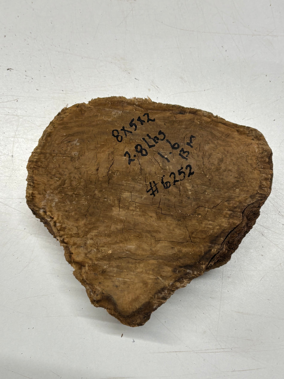 Brown Mallee Burl Blank 8" x 5" x 2" 2.8 Lbs #6252
