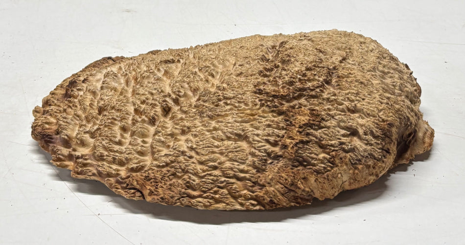 Brown Mallee Burl Blank 11" x 6.5" x 1.5" 3.3 Lbs #6261