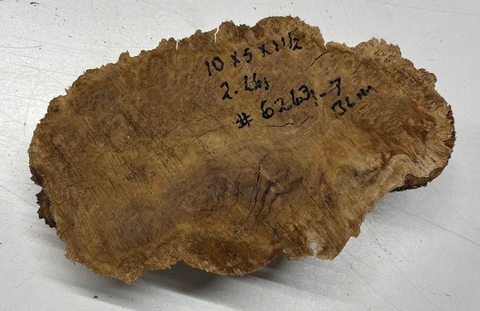 Brown Mallee Burl Blank 10" x 5" x 1.5" 2 Lbs #6263