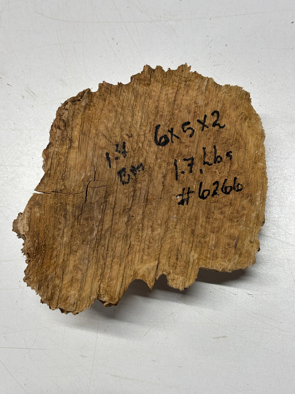 Brown Mallee Burl Blank 6" x 5" x 2" 1.7 Lbs #6266