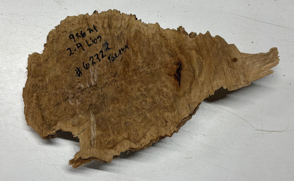 Brown Mallee Burl Blank 9" x 6" x 1" 2.4 Lbs #6272