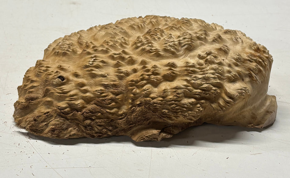 Brown Mallee Burl Blank 9" x 6" x 3" 3.7 Lbs #6402