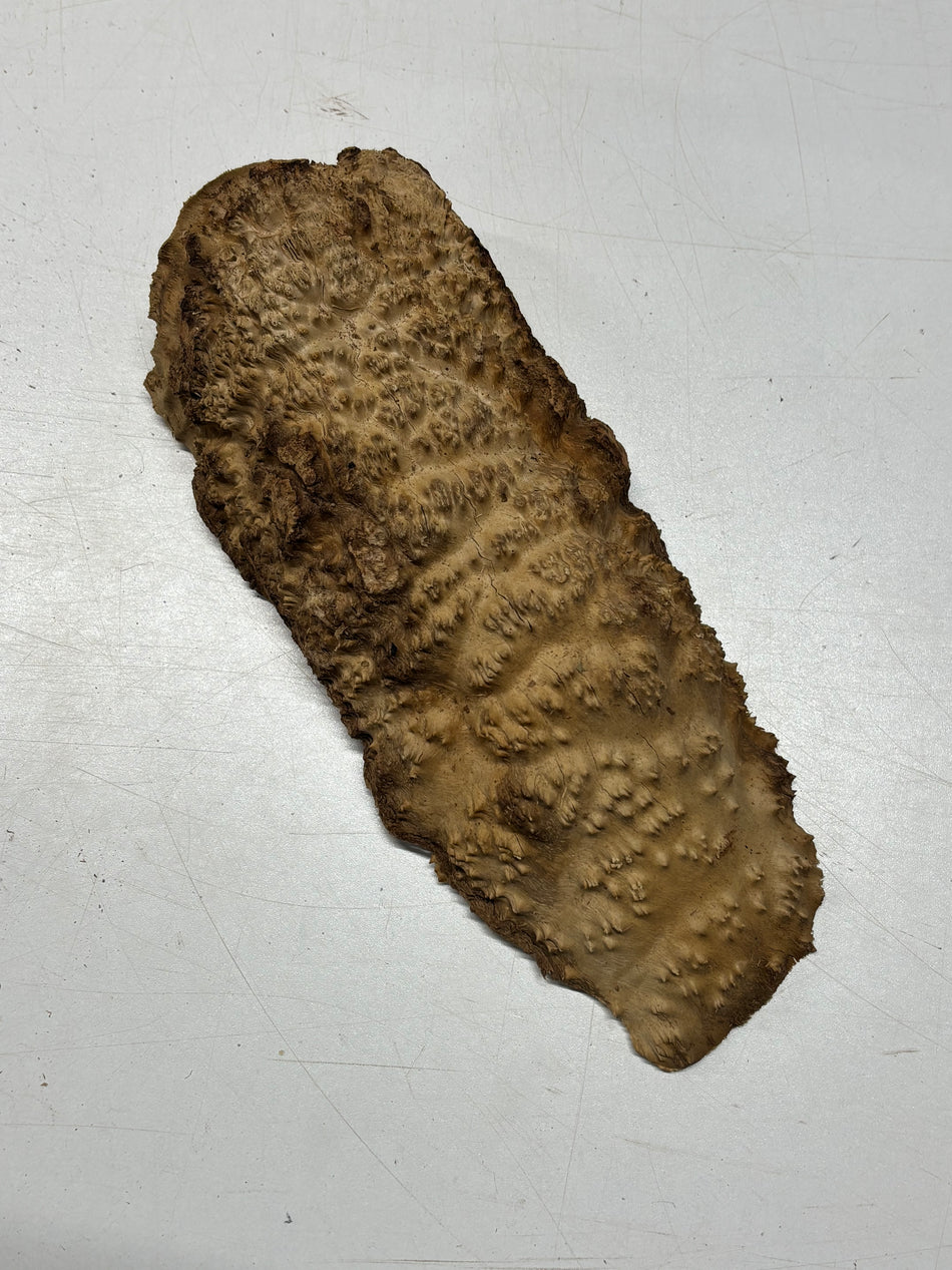 Brown Mallee Burl Blank 11" x 5" x 3" 2.5 Lbs #6405