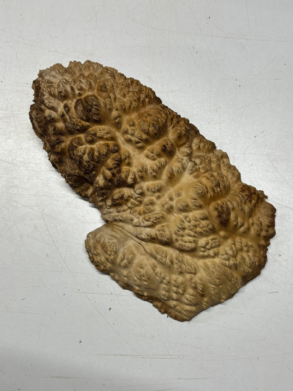 Brown Mallee Burl Blank 10" x 6" x 2" 2.4 Lbs #6407