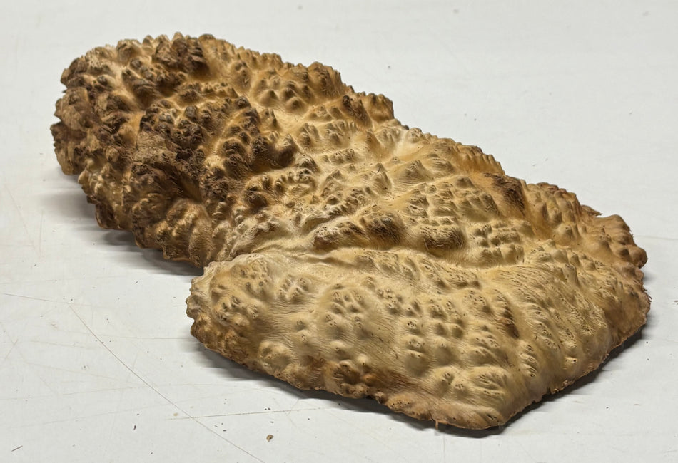 Brown Mallee Burl Blank 10" x 6" x 2" 2.4 Lbs #6407