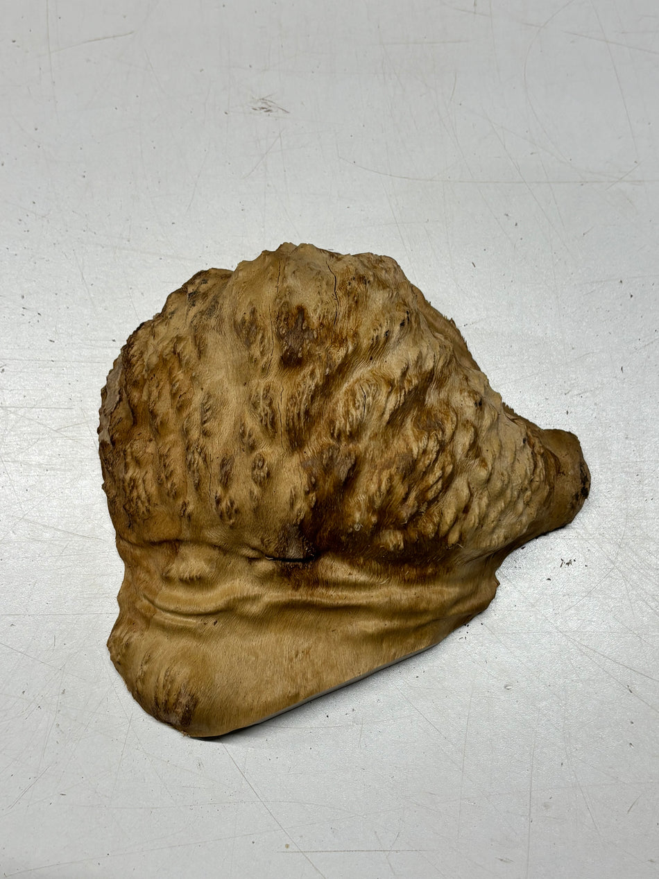 Brown Mallee Burl Blank 7" x 6" x 2" 1.9 Lbs #6411