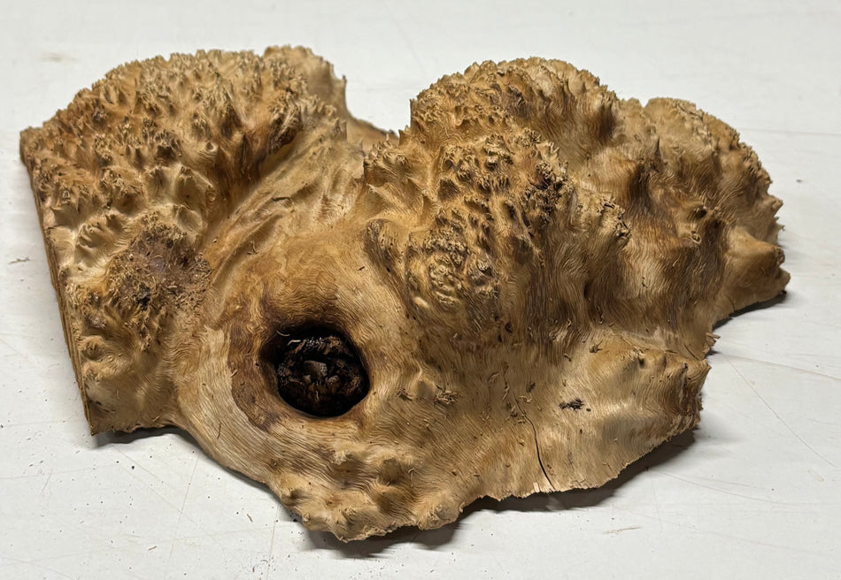 Brown Mallee Burl Blank 9.5" x 9" x 2.5" 3 Lbs #6412