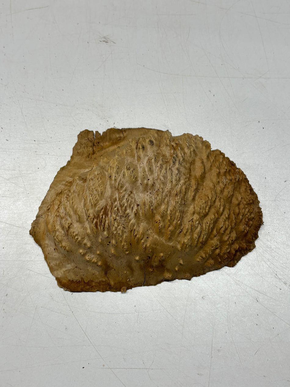 Brown Mallee Burl Blank 8" x 5.5" x 3" 1.6 Lbs #6413