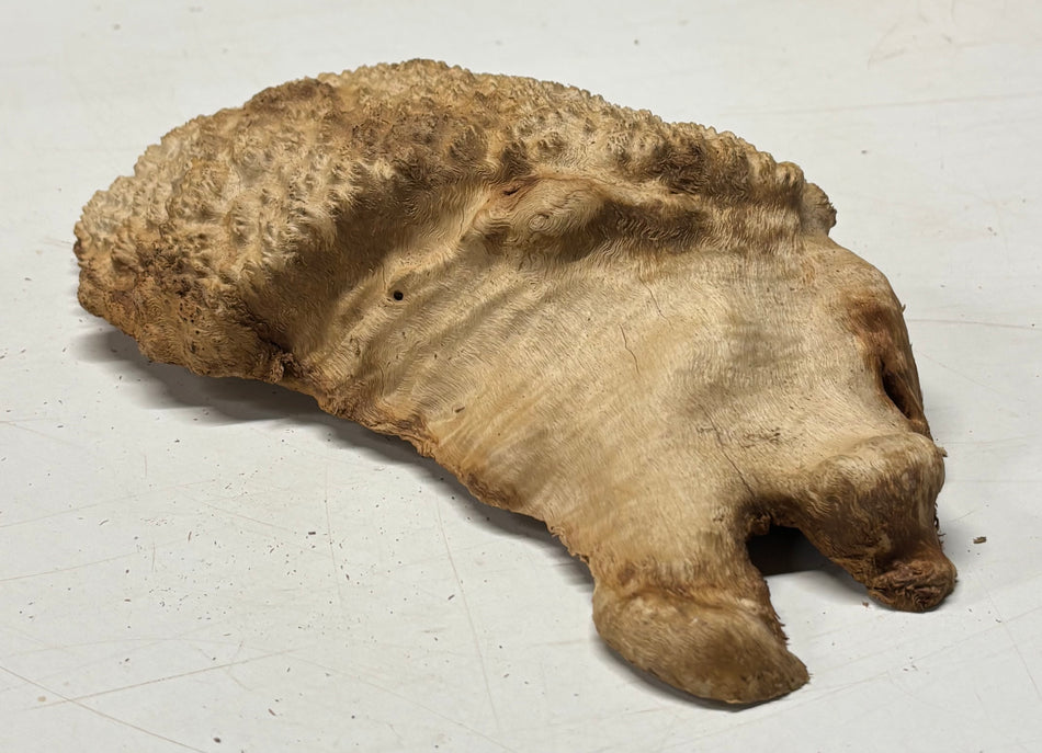 Brown Mallee Burl Blank 10" x 6" x 3" 2.7 Lbs #6418