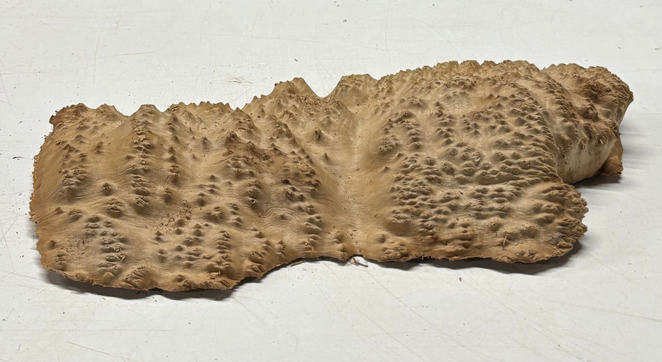 Brown Mallee Burl Blank 13" x 6" x 2" 2.3 Lbs #6424