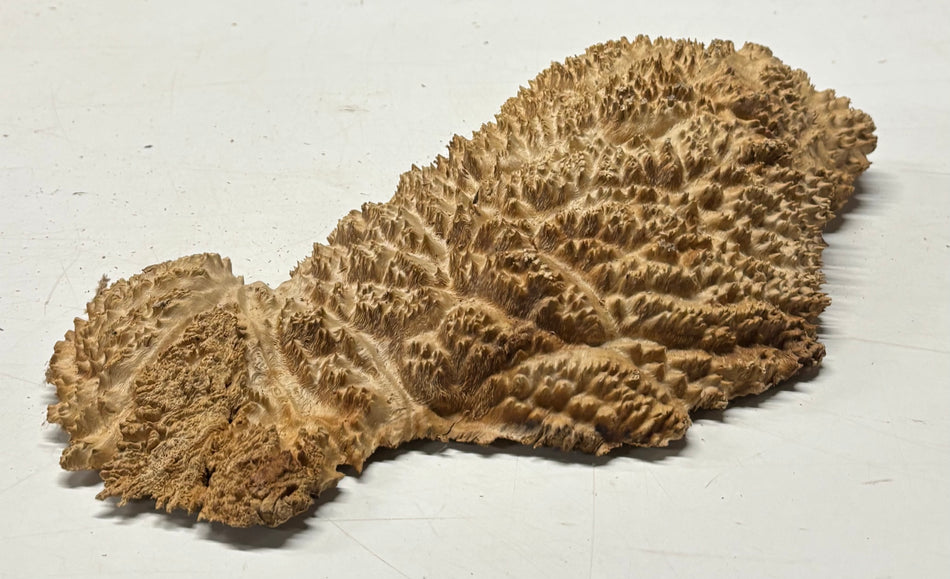 Brown Mallee Burl Blank 13" x 6" x 2" 3.6 Lbs #6425
