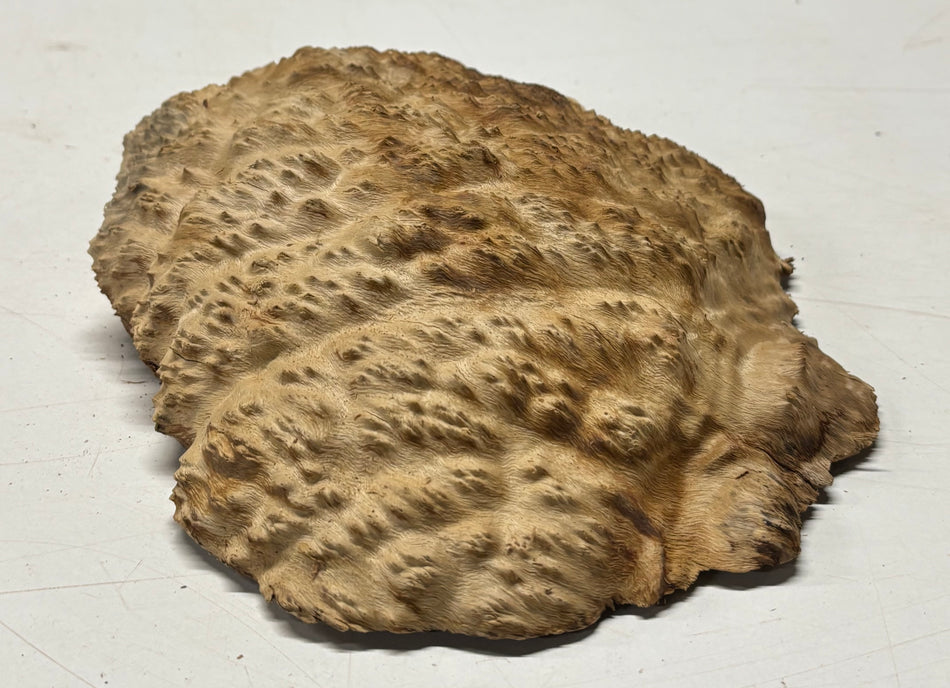 Brown Mallee Burl Blank 10" x 7" x 5" 2.6 Lbs #6430