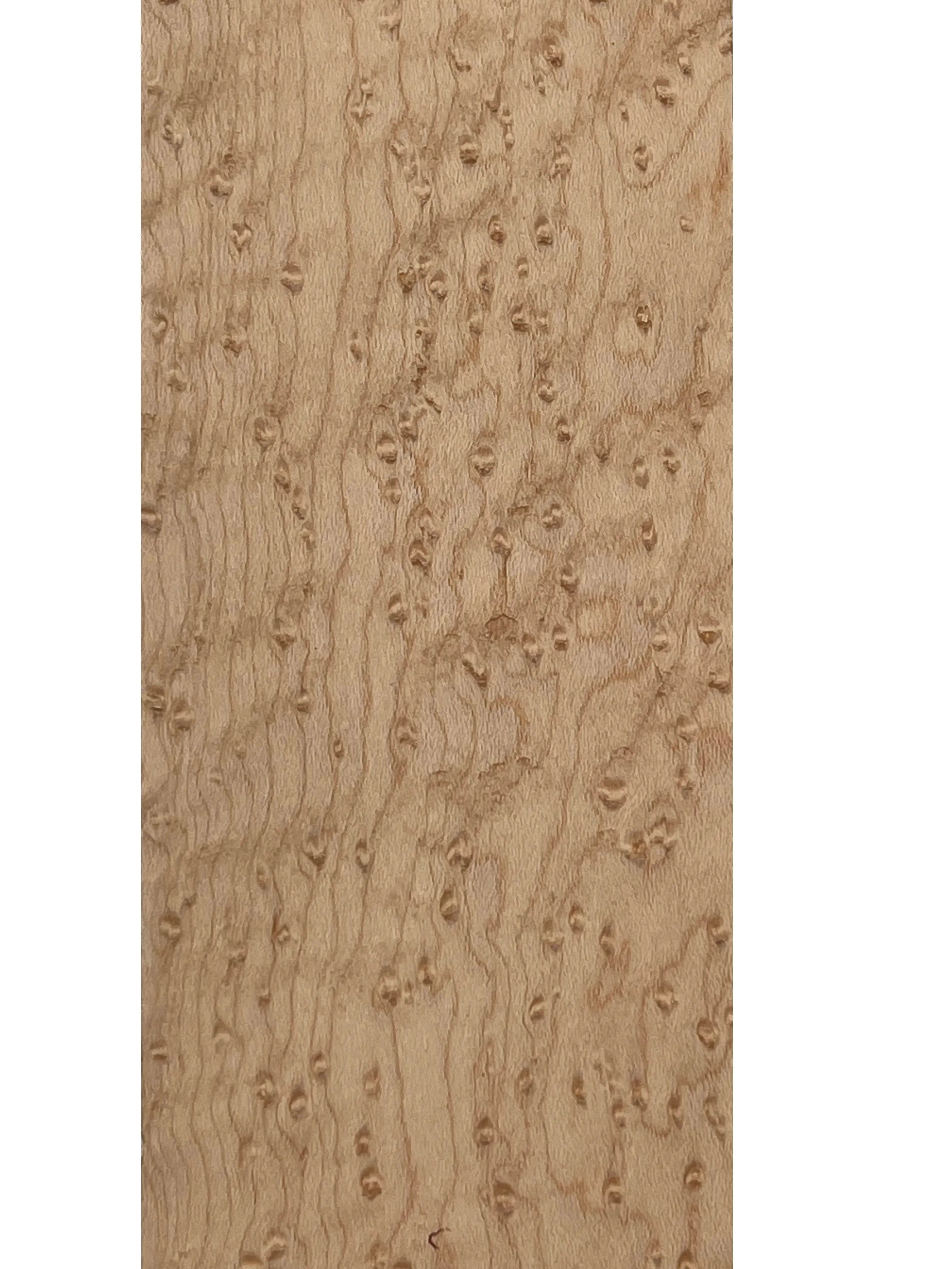 Birds Eye Maple Guitar Fingerboard Blank - Exotic Wood Zone - Buy online Across USA 