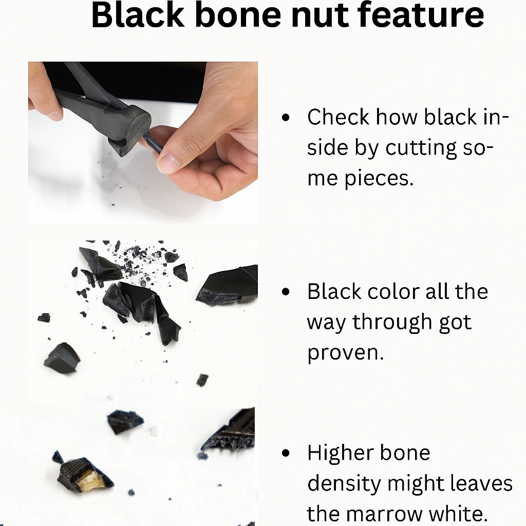 Hosco Fender® Shaped & Slotted Black Bone Electric Guitar Nut - 9.5" radius (Copy) Exotic Wood Zone 