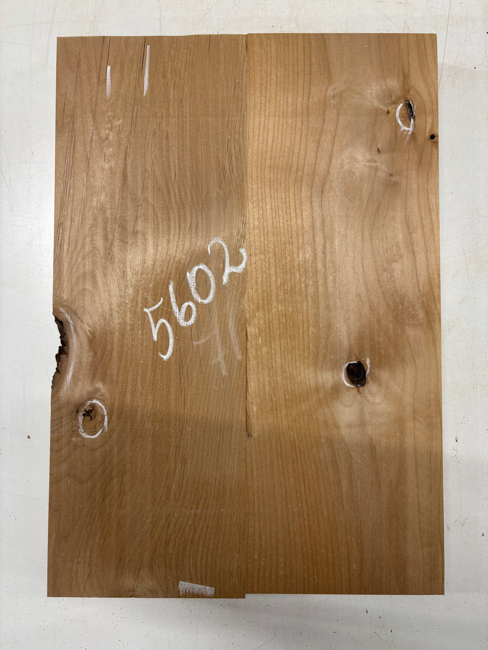 2 Piece Glued, Red Alder Guitar Body Blank - 21" x 14-1/2" x 1-3/4"   #5602