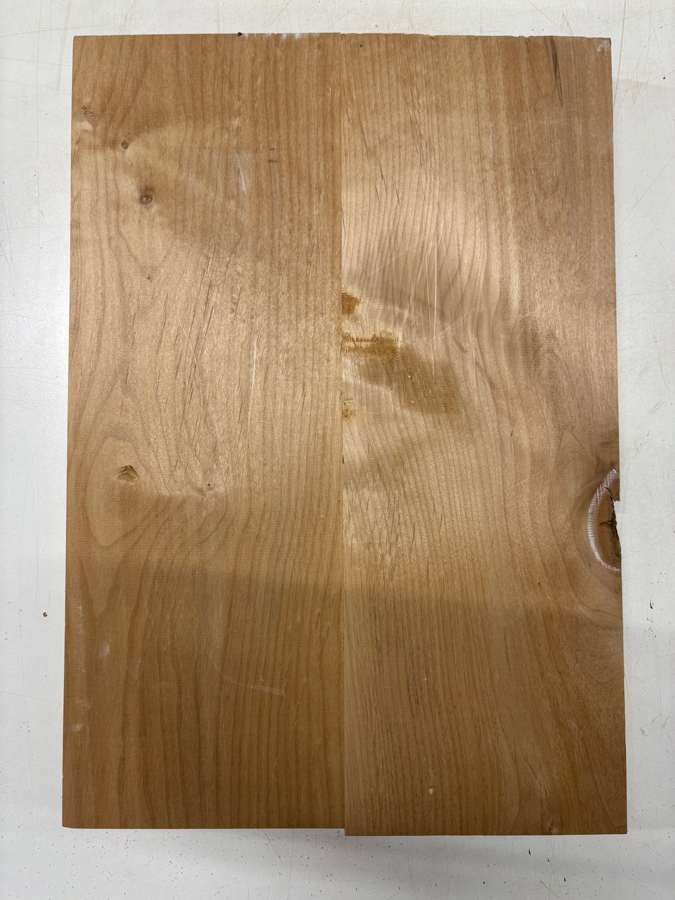 2 Piece Glued, Red Alder Guitar Body Blank - 21" x 14-1/2" x 1-3/4"   #5602