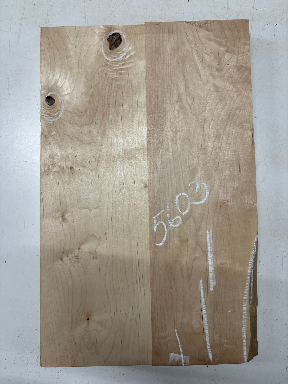 2 Piece Glued, Hard Maple Guitar Body Blank  - 22" x 13-3/4" x 1-3/4" #5603