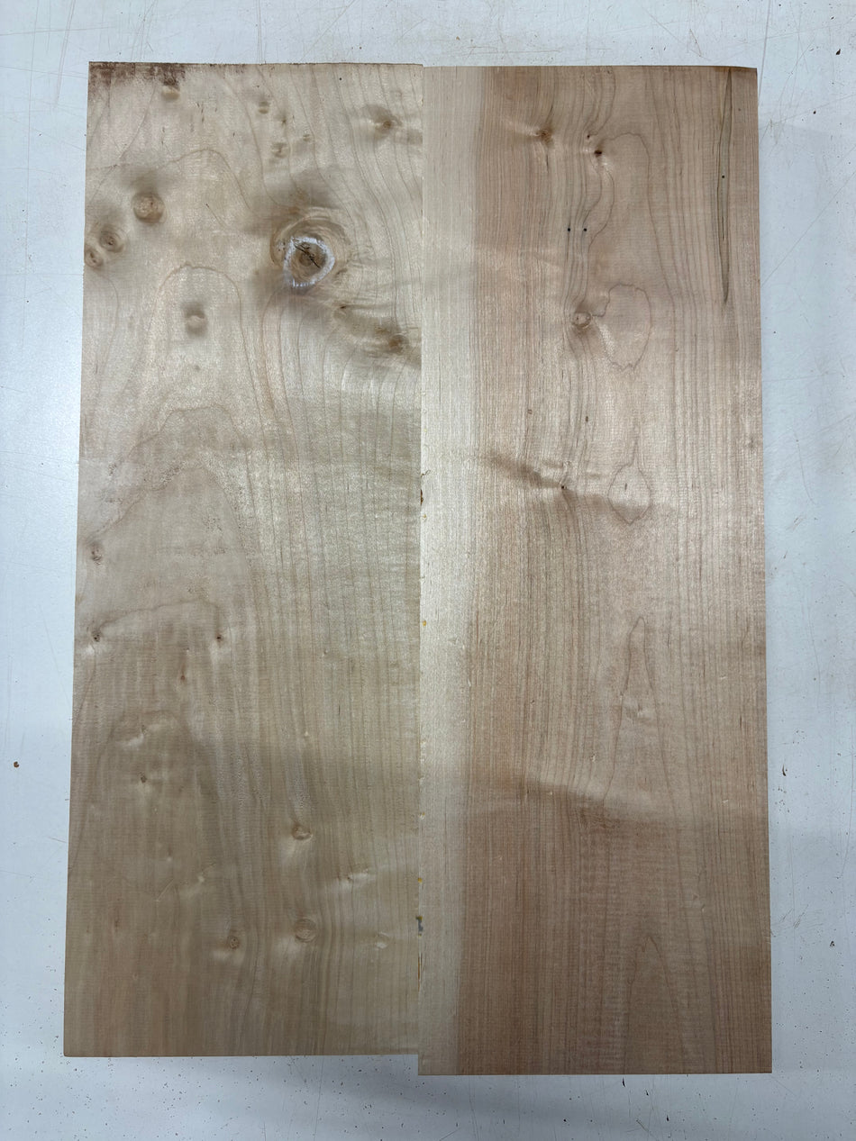 2 Piece Glued, Ambrosia Maple Guitar Body Blank  - 21" x 14" x 1-3/4"   #5604