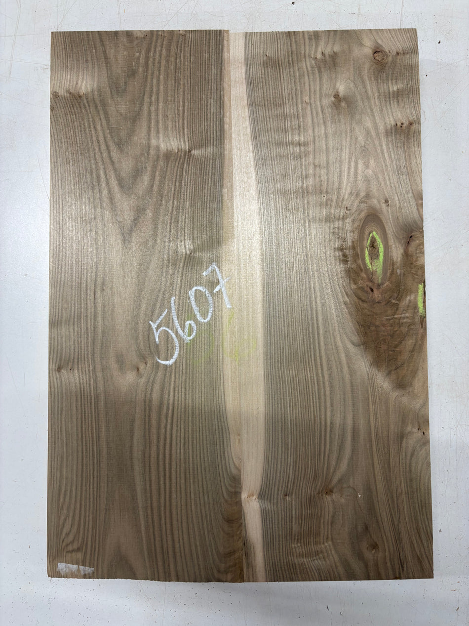 2 Piece Glued, Ambrosia Maple Guitar Body Blank - 21" x 14-1/2" x 1-3/4"  #5607