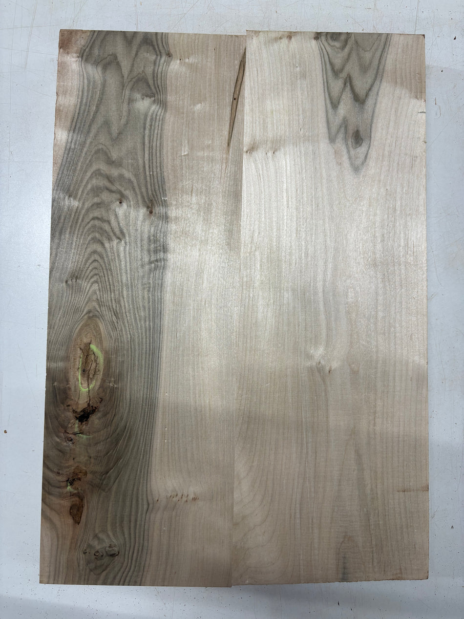 2 Piece Glued, Ambrosia Maple Guitar Body Blank - 21" x 14-1/2" x 1-3/4"  #5607