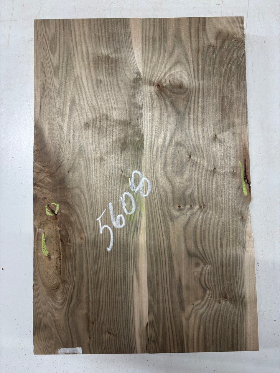 2 Piece Glued, Ambrosia Maple Body Blank  21"x13-3/4"x1-3/4"  #5608
