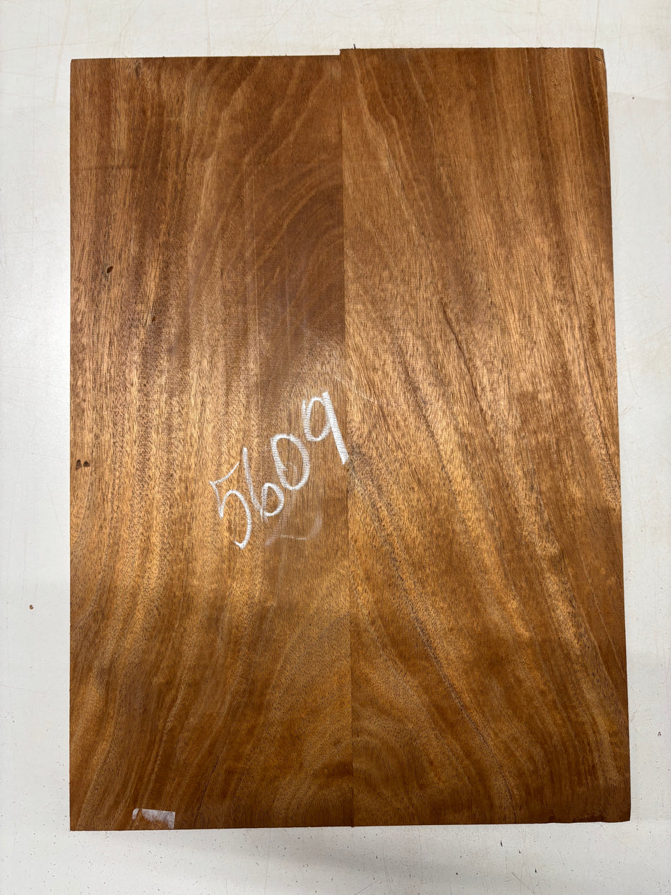 2 Piece Glued, African Mahogany Body Blank  21"x15"x1-7/8"  #5609