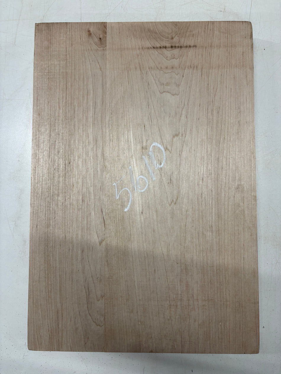 3 Piece, Ambrosia Maple Glued Body Blank  21"x14"x1-3/4"  #5610