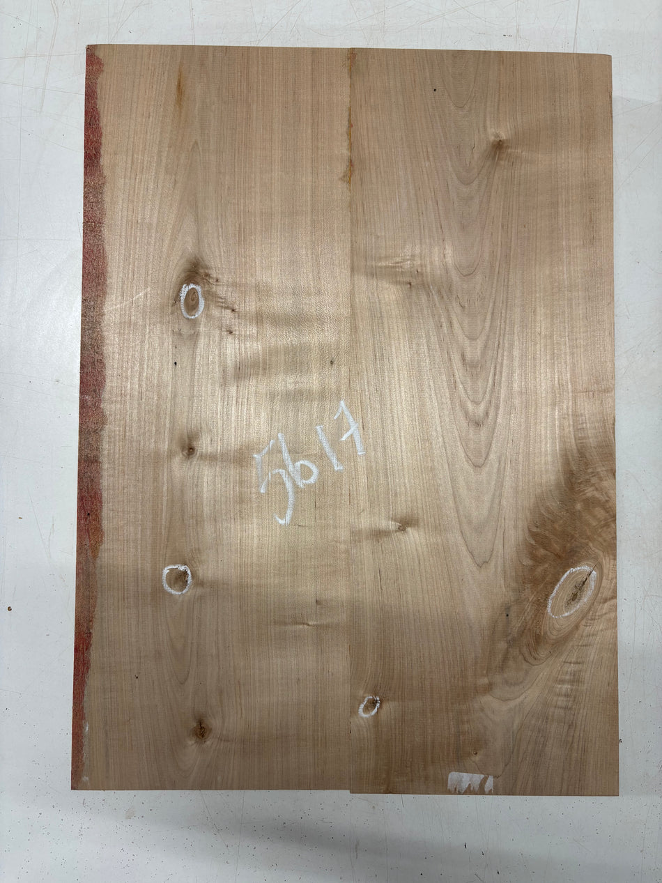 2 Piece Glued, Ambrosia Maple Body Blank 21"x15"x1-3/4"  #5617