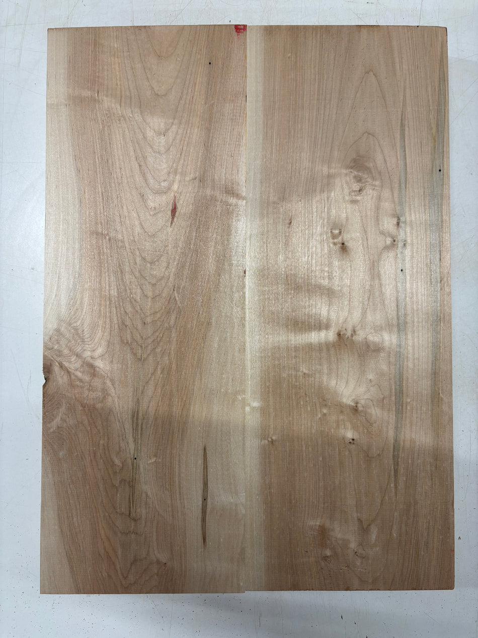 2 Piece Glued, Ambrosia Maple Body Blank 21"x15"x1-3/4"  #5617