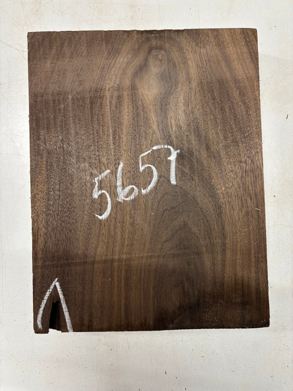 1 Piece, Black Walnut Lumber Board Blank 13-1/2"x10-1/2"x1-3/4"#5657